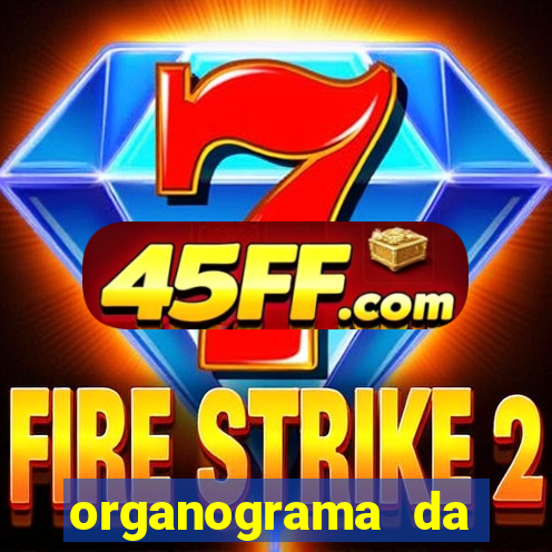 organograma da cacau show